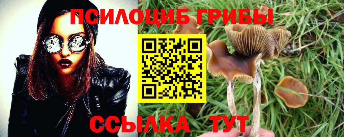 Галлюциногенные грибы MAGIC MUSHROOMS  Галлюциногенные грибы Cubensis  Вход с VPN  Екатеринбург 
